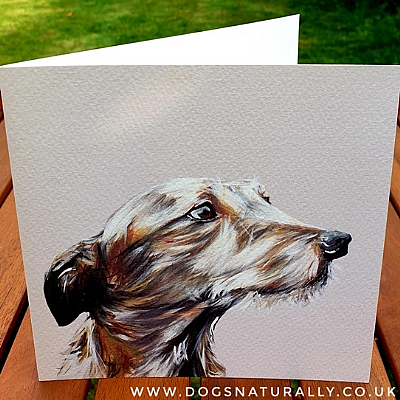 Lurcher Dog Lover Portrait Art Card